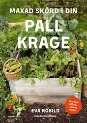 Maxad skörd i din pallkrage