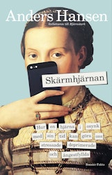 Skärmhjärnan (storpocket)