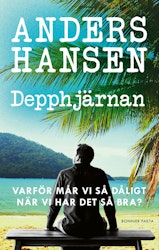 Depphjärnan (storpocket)