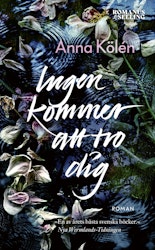 Ingen kommer att tro dig (pocket)