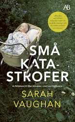 Små katastrofer (pocket)