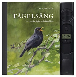 Fågelsång