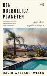 Den obeboeliga planeten (pocket)