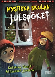 Mystiska skolan. Julspöket