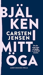 Bjälken i mitt öga