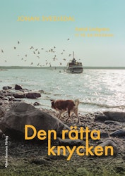 Den rätta knycken
