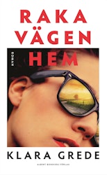 Raka vägen hem