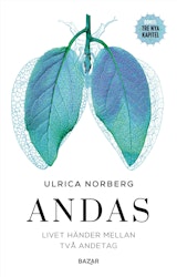 Andas