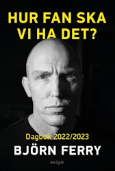 Hur fan ska vi ha det?