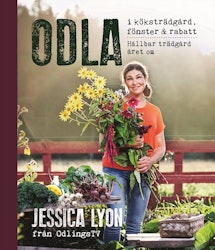 Odla i köksträdgård, fönster & rabatt
