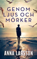 Genom ljus och mörker