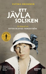Ett jävla solsken (storpocket)