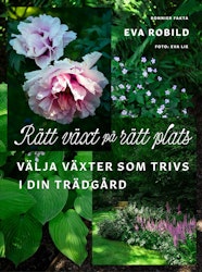 Rätt växt på rätt plats