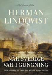 När Sverige var i gungning