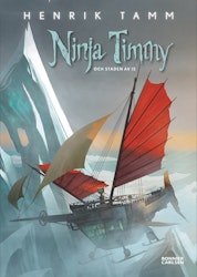 Ninja Timmy och staden av is