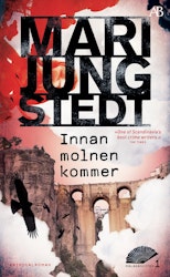 Innan molnen kommer (pocket)
