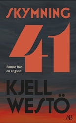 Skymning 41  (pocket)