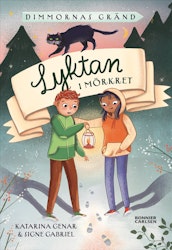 Lyktan i mörkret