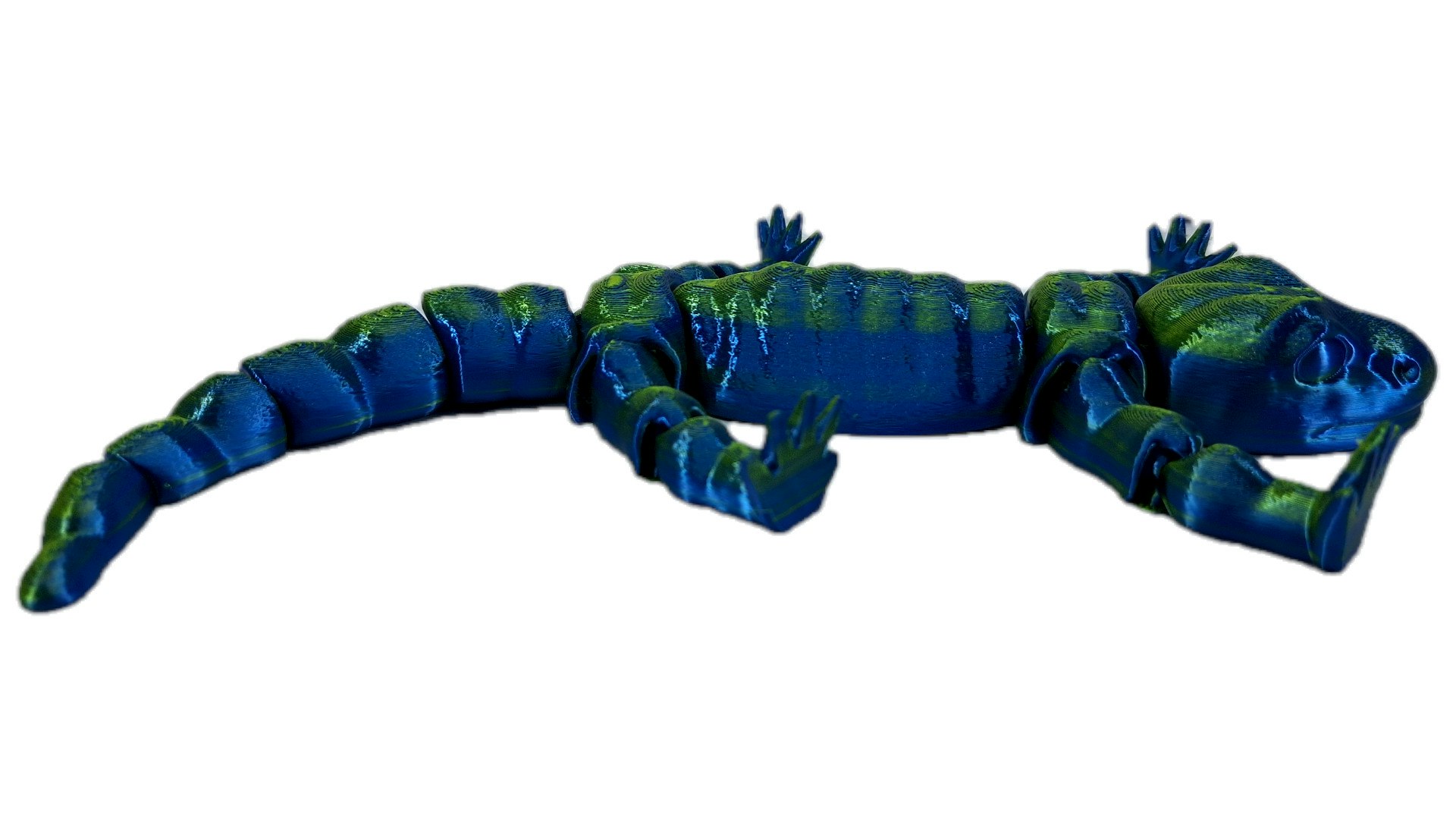 Salamander