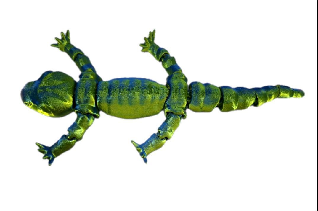 Salamander