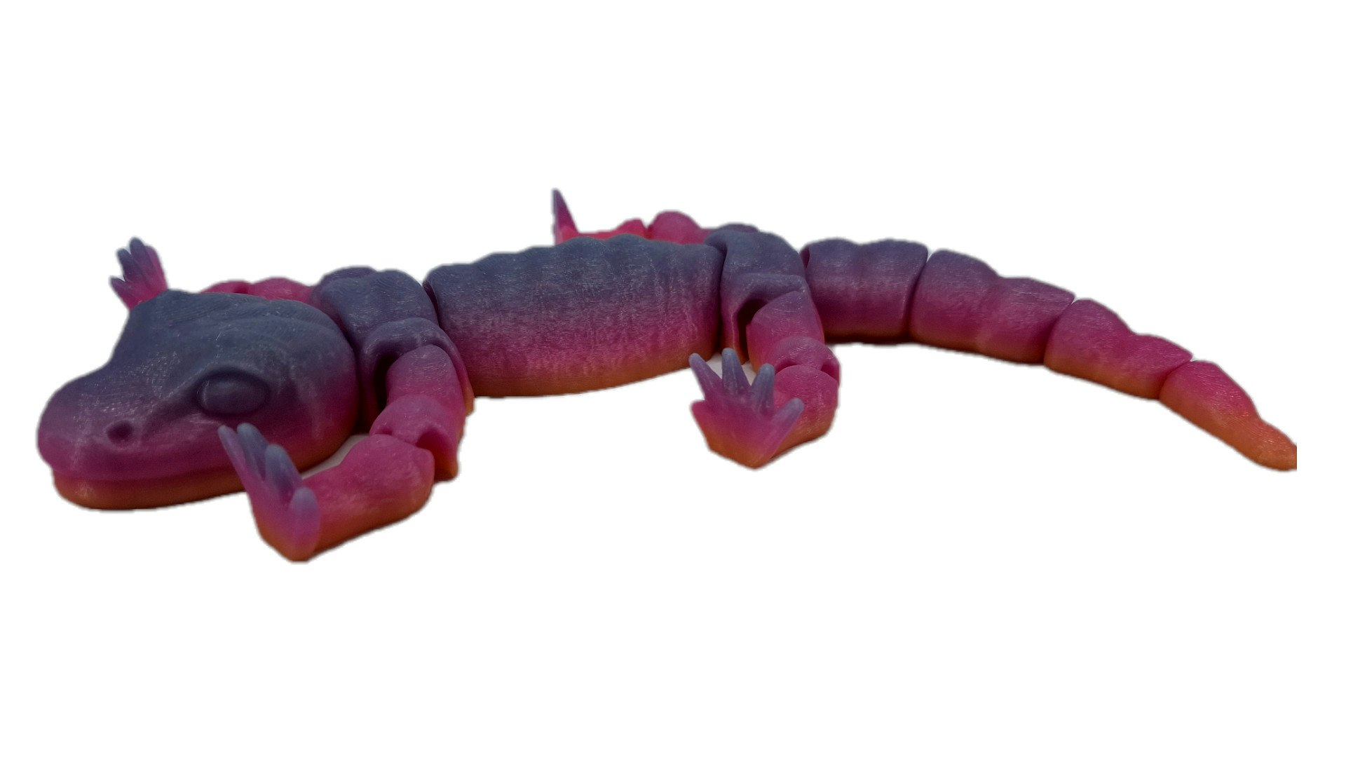 Salamander
