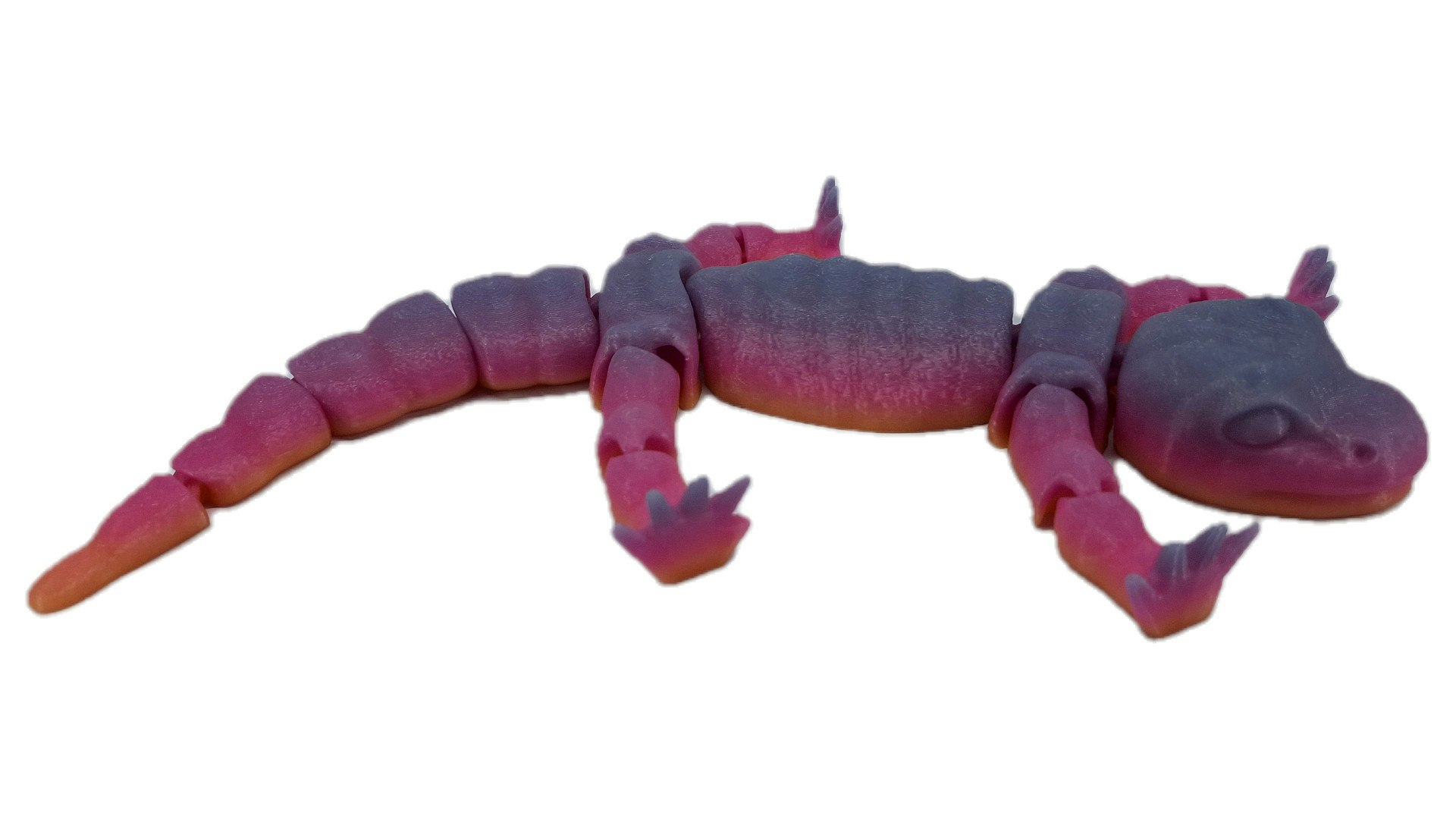 Salamander