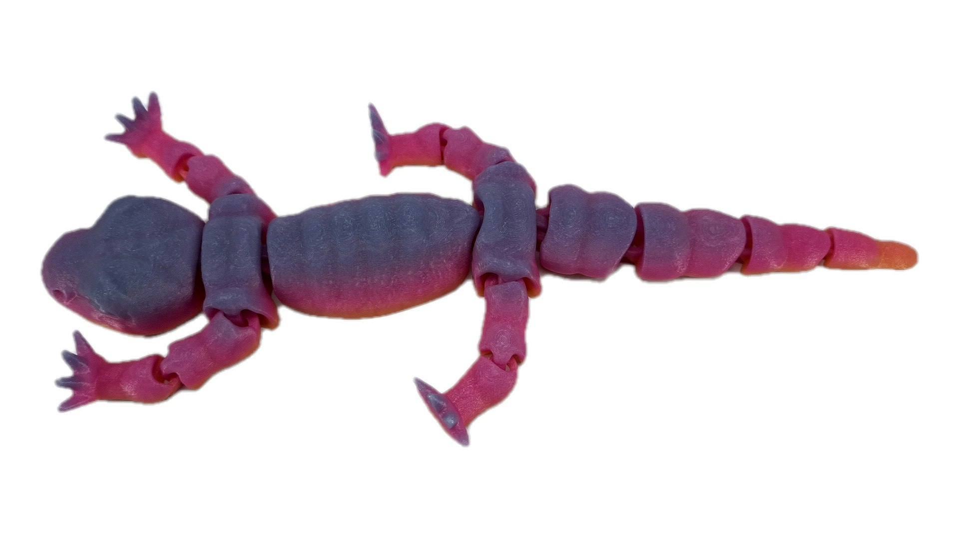Salamander