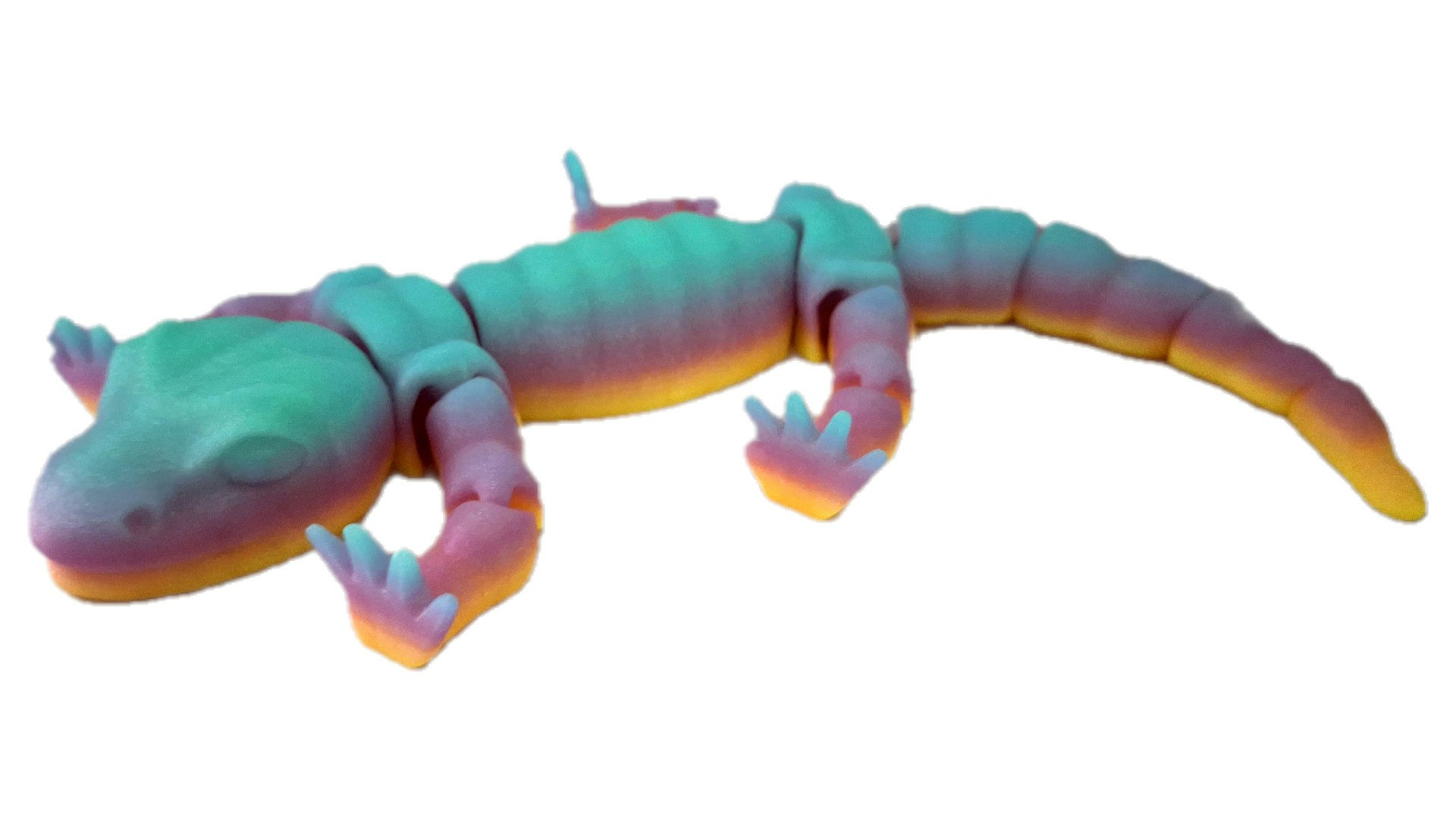 Salamander