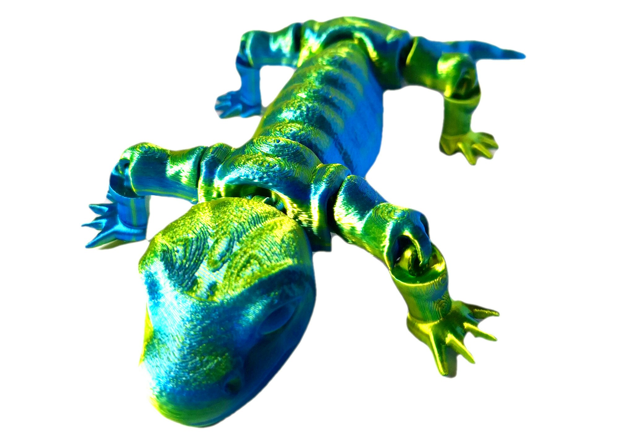 Salamander