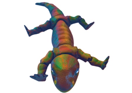 Salamander
