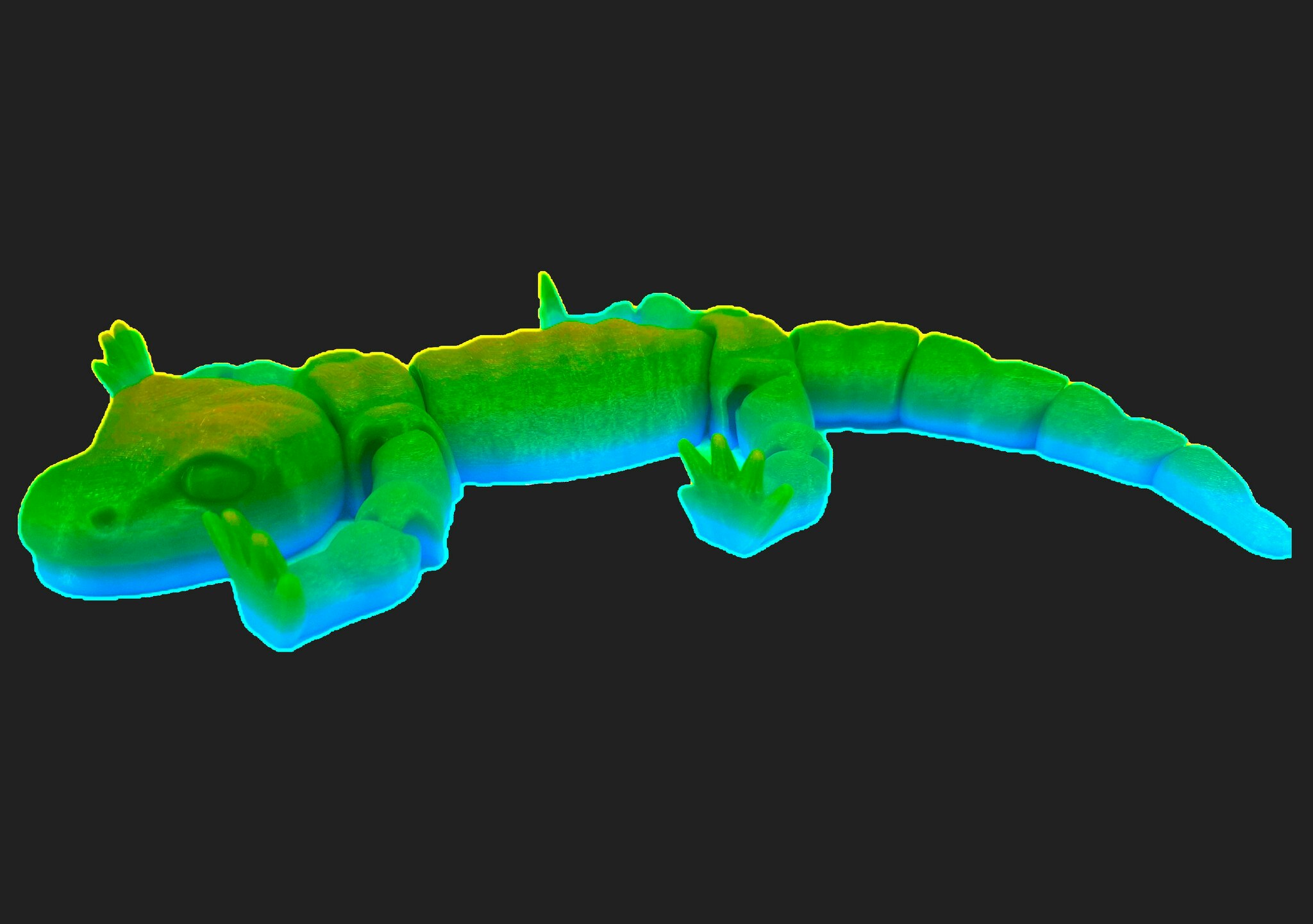 Salamander