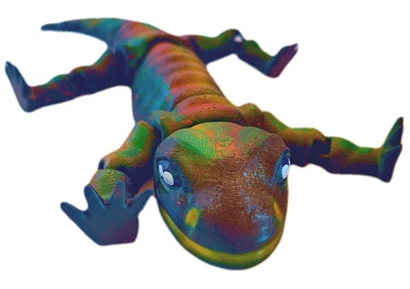 Salamander