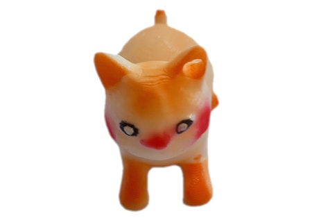 Kattkompis 2