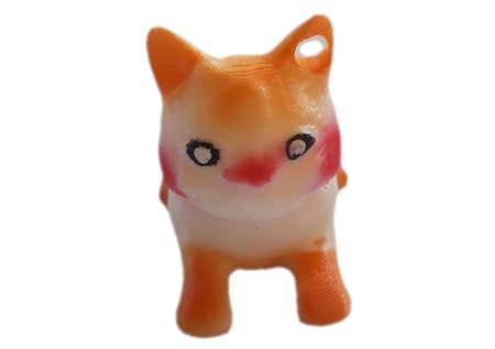 Kattkompis 2