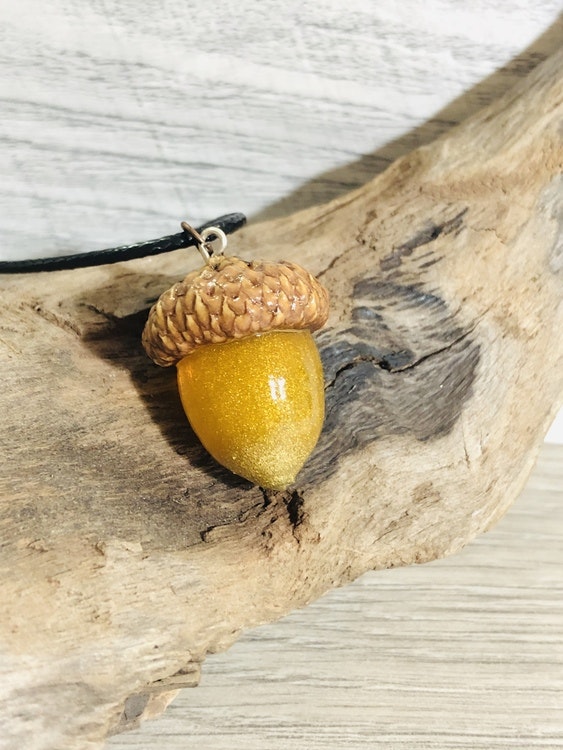 Gold Acorn