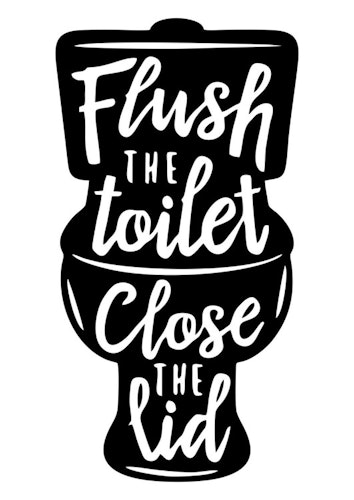 Flush the toilet
