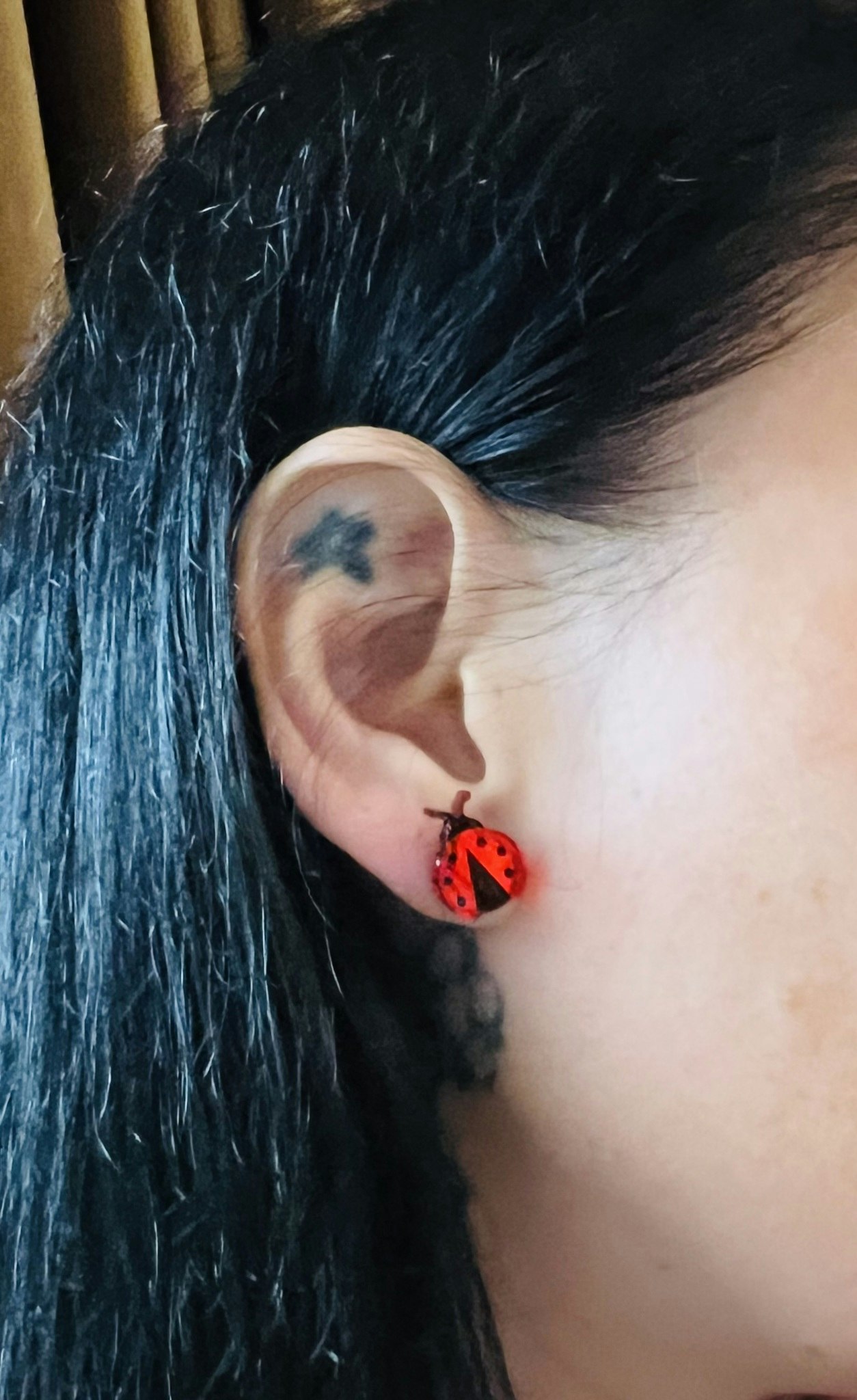 Ladybug