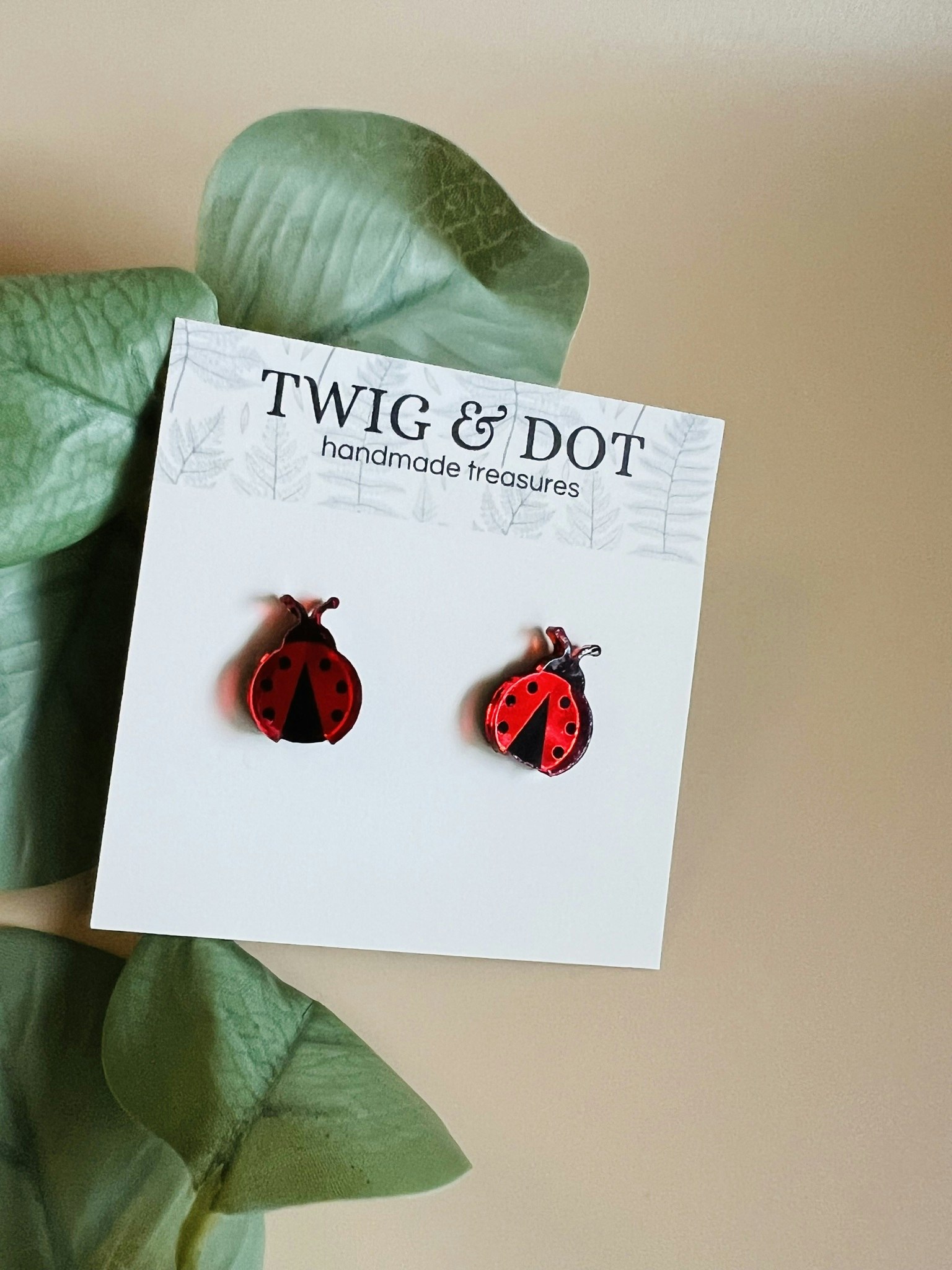 Ladybug