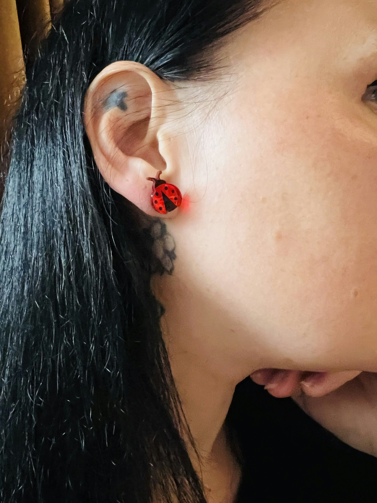 Ladybug