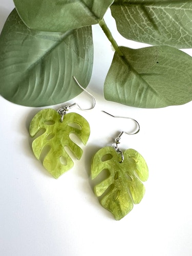 Monstera Golden Green