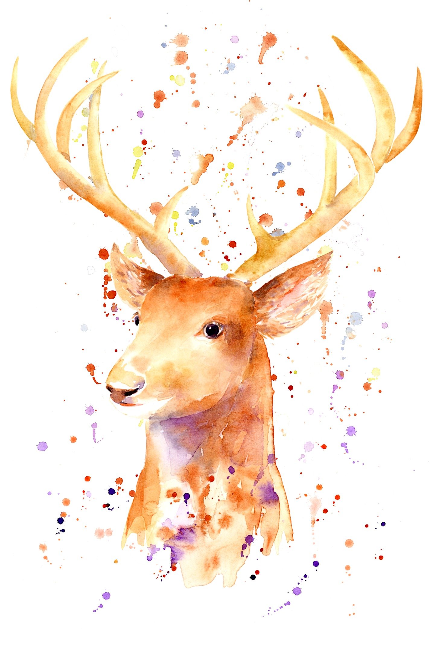 Oh my Deer, it's watercolor everywhere!