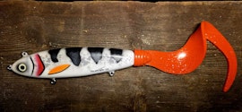 Monster Tail Valsjärv Koi Fish 50cm