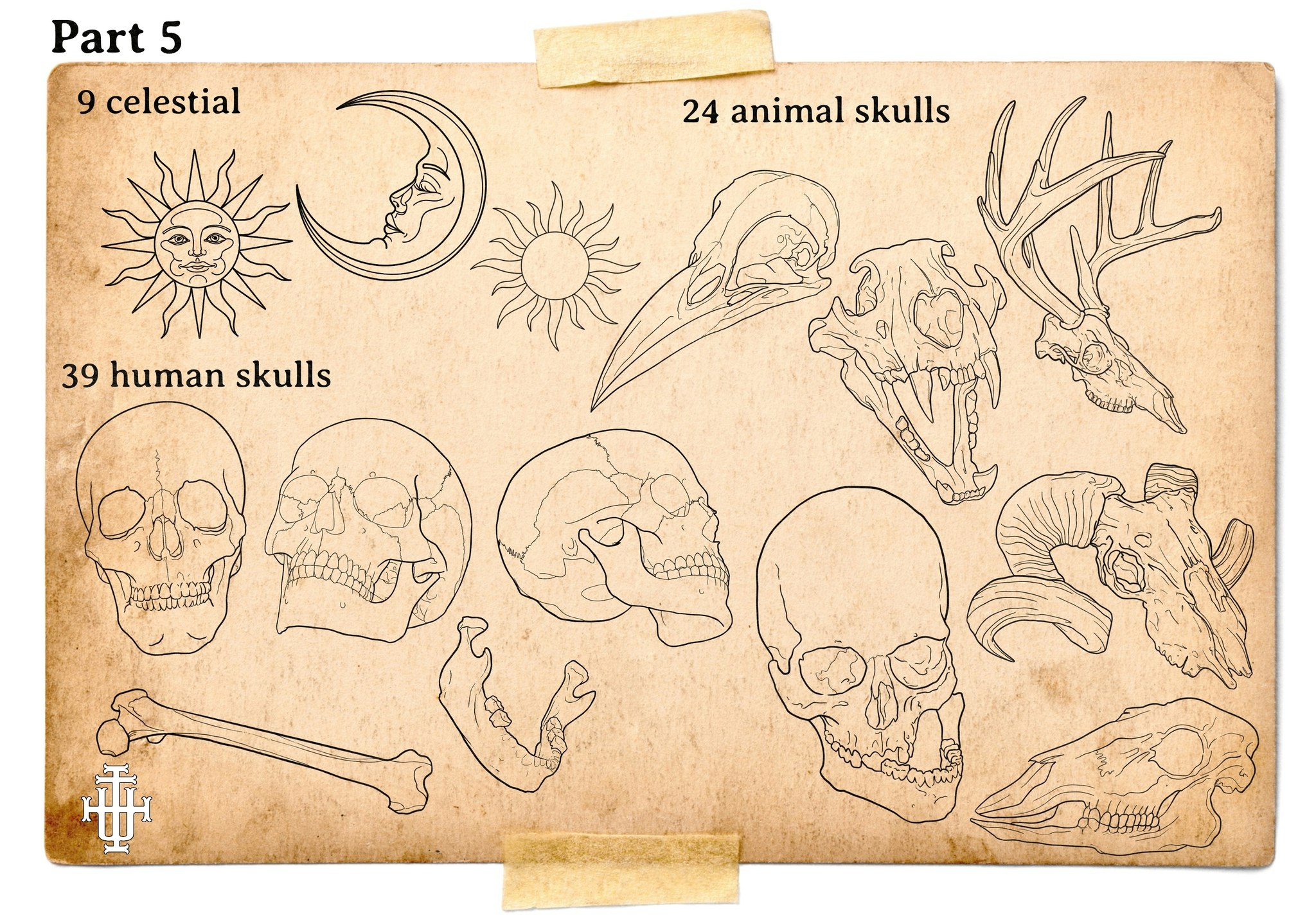 Procreate, The Tattoo Toolkit