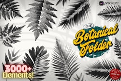 The Botanical Folder XL, 3000+, 100% Custom Art, Procreate brushes, png files, svg files, flowers, nature, foliage, mushrooms, leaves
