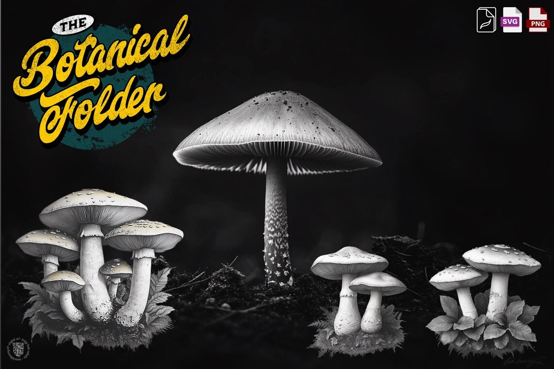 The Botanical Folder XL, 3000+, 100% Custom Art, Procreate brushes, png files, svg files, flowers, nature, foliage, mushrooms, leaves