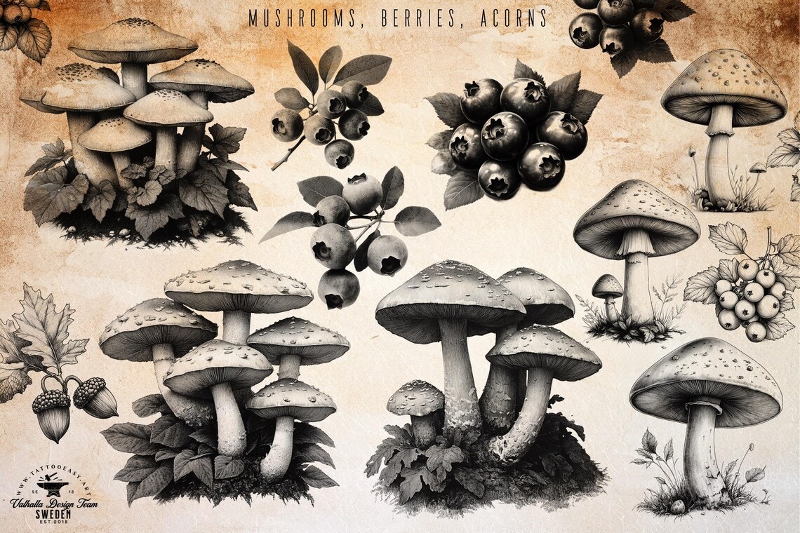 The Botanical Folder XL, 3000+, 100% Custom Art, Procreate brushes, png files, svg files, flowers, nature, foliage, mushrooms, leaves