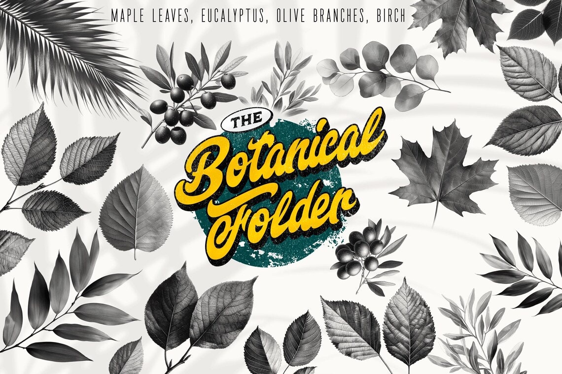 The Botanical Folder XL, 3000+, 100% Custom Art, Procreate brushes, png files, svg files, flowers, nature, foliage, mushrooms, leaves