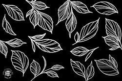 Procreate - Garden Essentials, Tattoo Leaves & Flowers, Fineline, hand drawn