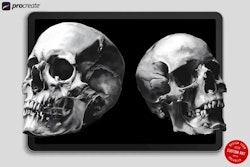 Skull Realism, 100 custom made designs, skull tattoo flash, procreate tattoo stamps, custom art, skull design bundle