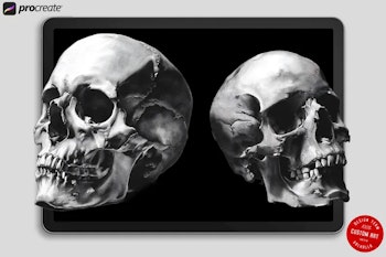Skull Realism, 100 custom made designs, skull tattoo flash, procreate tattoo stamps, custom art, skull design bundle